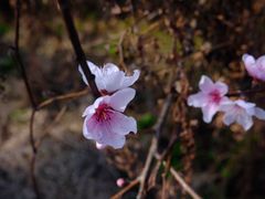-千峡湖生态旅游度假区