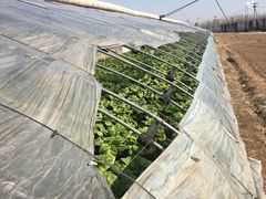 -杨柳青园艺科技博览园