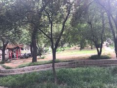 -曲阜师范大学(曲阜校区)