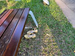 -福田红树林生态公园