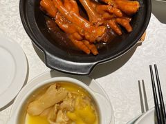 鲍汁凤爪-维园悦谱·海派家常菜(乌鲁木齐南路店)