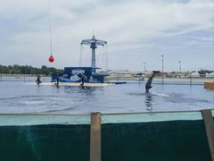 -秦皇岛乐岛海洋王国