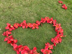 -北海金海湾红树林生态旅游区