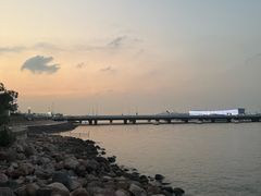 -吴淞炮台湾湿地森林公园烧烤区