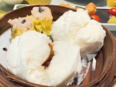 -新兴·金羊座·粤菜点心(乐峰店)