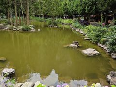-重庆睡佛山森林公园