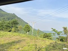 -洋洋广场(南街店)