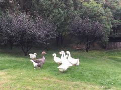 -北京宽沟会议中心