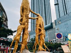 -韩乐坊