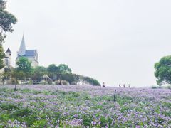 -花博汇(知音花月夜)
