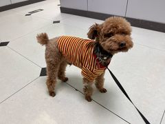 -酷宠动物医院(天通西苑店)