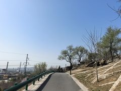 -白水寺森林公园