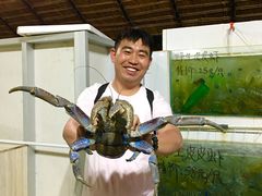 -海盗餐厅