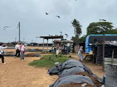 -尼甘布海鲜市场