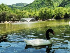 -西安秦岭野生动物园