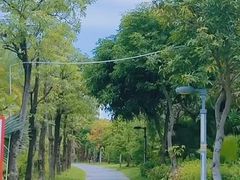 -金鸡岭桥头公园