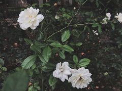-陕西师范大学(雁塔校区)