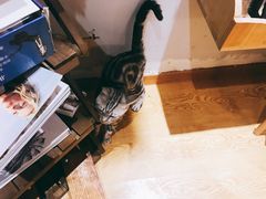 -万小咖.猫咖(中山路天虹店)