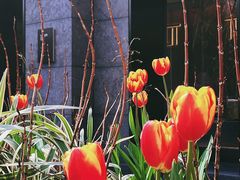 -西北湖绿化广场