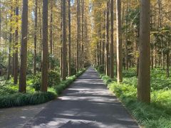 -上海怡沁园度假酒店