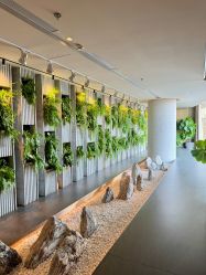 -VELEE·SPA高定疗愈会所