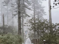 -瓦屋山景区