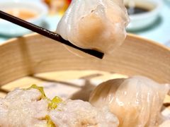 -花城苑广府菜(侨鑫店)