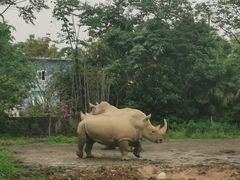 -宁波野生动物园