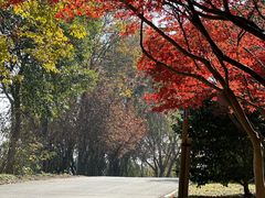 -梁鸿国家湿地公园