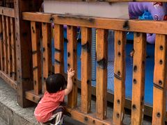 -晓港公园