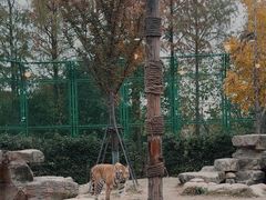 -上海野生动物园老虎餐厅