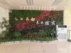 -德宏芒市国际机场