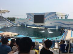 -北戴河圣蓝海洋公园
