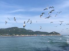 -长岛南北长山旅游景区