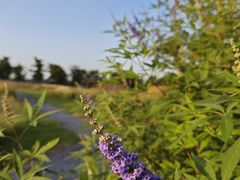 -汉长安城未央宫国家考古遗址公园