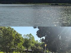 -沙澧河风景区