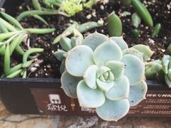 -盒悦高端盒饭(中海国际中心店)