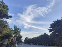-北陵公园