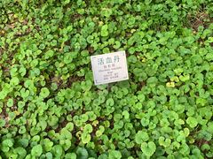 -广州神农草堂中医药博物馆