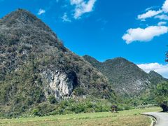 -靖西鹅泉风景区