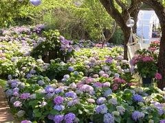 -名花谷生态庄园