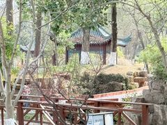 -月湖风景区
