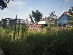 -田园东方蜜桃村的田野营地