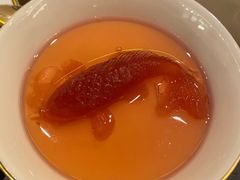 -甄御•海鲜新青岛菜(麦岛店)