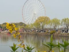 -无锡蠡湖国家湿地公园-蠡园