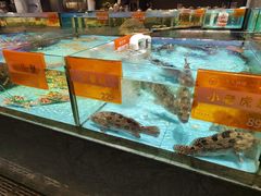 -国惠大酒楼(仓山万达店)