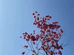 -四海公园(南山区)