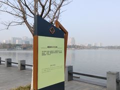 -聚龙湖公园