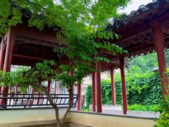 -九献创意菜·新中式(亮马河花园私宴店)