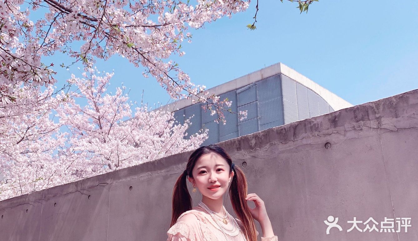 魔都樱花季🌸秒速五厘米的浪漫！